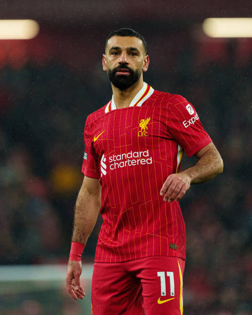 临类似的伤 临类似的伤