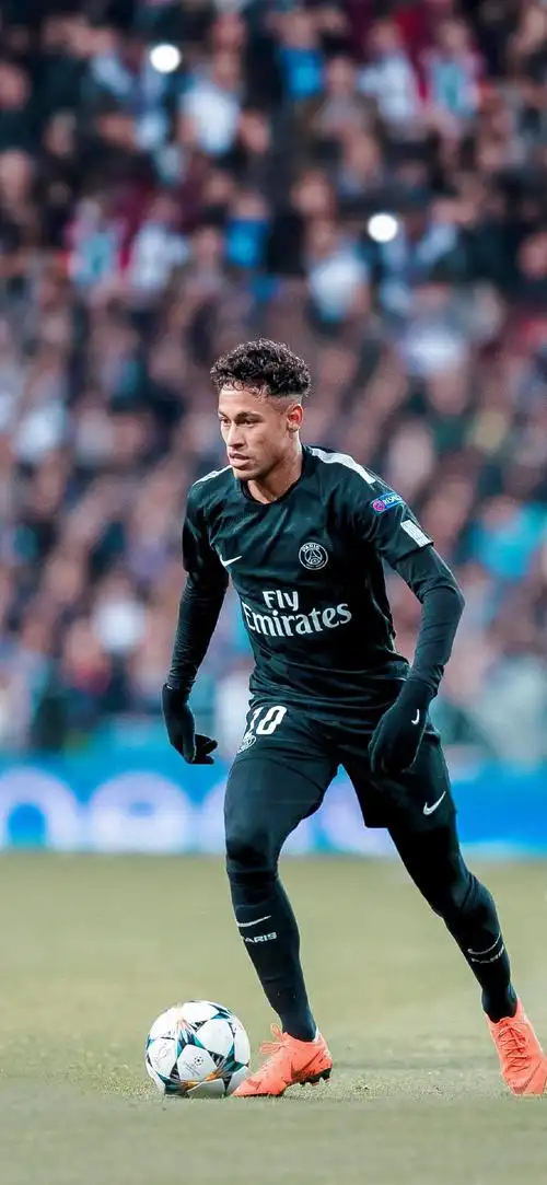 速在网络平 速在网络平